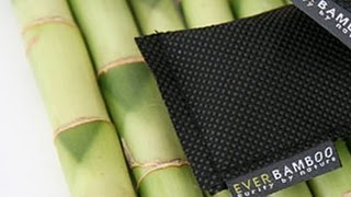 Ever Bamboo  - Natural Charcoal Deodorizer