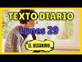 JW TEXTO DIARIO 🌞 de Hoy Lunes 29 de Agosto 2022