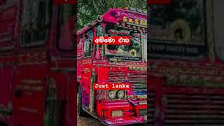 අම්මෝ ඒක #automobile #𒆜foryou #srilanka #trending #bus #heshantechnic #driver #1million