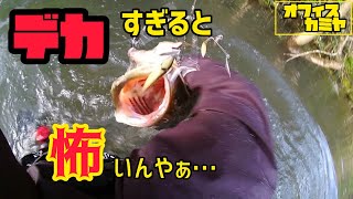 【琵琶湖 北湖】アラバマで春のおかっぱり