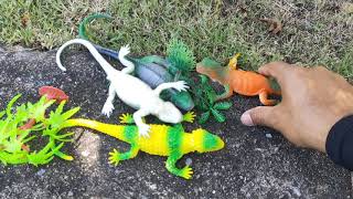 Reviews of animal model toys, chameleons, insects, reptiles