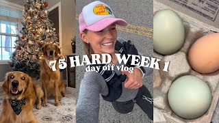 VLOG: 75 HARD WEEK 1 | DAY OFF AS A NIGHTSHIFT NURSE | CHRISTMAS HOME DECOR