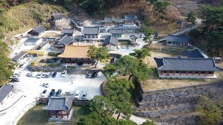 [한국의산사] 대구 비슬산 유가사로 슈퍼커브 투어