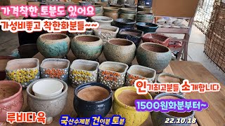 22.10.18/루비다육화분/인기많은 토분1500원부터~.건이분.국산수제분.토우인형분/택배 010 5895 1110