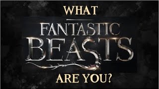 What Fantastic Beasts Character Are You?