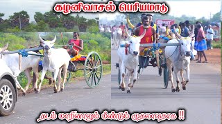 1பெரியமாடு-கழனிவாசல்-பந்தயம்_12-07-2023