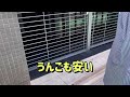 高田馬場駅 から新大久保まで ぶらり旅 walking takadanobaba station to shin okubo tokyo 東京 ゲーセンミカド 東京グローブ座