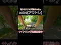 サイクルスポーツデイズ outre アウトレ ワンポイントファイブ　 shorts ミニベロ 自転車 outre 折りたたみ自転車 ミニベロロード ワンポイントファイブ アウトレ