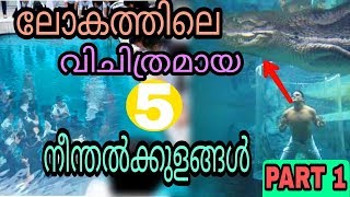 ലോകത്തിലെ വിചിത്രമായ 5 നീന്തൽക്കുളങ്ങൾ | 5 unbelievable swimming pools in the world | Malayalam