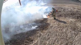 Požar niskog rastinja (2) / Low vegetation fire (2), 19.02.2019.g