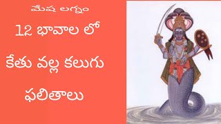 మేష లగ్నం 12 భావాలలో కేతు వల్ల కలుగు ఫలితాలు  mesha lagnam kethu Valla phalithalu