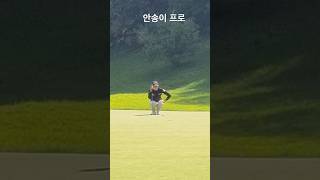 안송이 프로 퍼팅 직관 #golf #klpga #골프 #직캠 #안송이