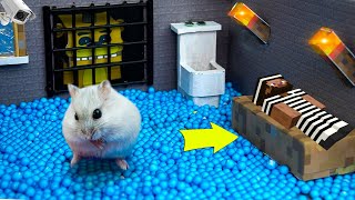 Minecraft Hamster Escapes from the Prison Maze