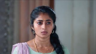 Veera Serial Today Full Episode | 22 January 2025 | Premier Episode | Zee Tamil