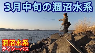 3月中旬の涸沼水系はどんな感じ？　－　ハク・シラウオ　【涸沼・涸沼川デイシーバス】－やまいぬ