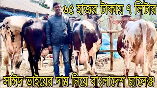 সাঈদ ভায়ের সারা বাংলাদেশ চ্যালেঞ্জ! মাত্র ৬৫ হাজার টাকায় ৭ লিটার ও ৮০ হাজরে ১৪ লিটার দুধের গাভী