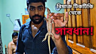 আপনার ঘরেও ঢুকে পড়তে পারে এই ভয়ঙ্কর প্রাণী #wildanimals #rescuevideo @SnakeSaverBrothers