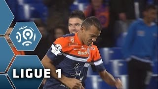 But Vitorino HILTON (53') - Montpellier Hérault SC-OGC Nice (3-1) - 25/01/14 - (MHSC-OGCN)