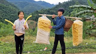 Two brothers harvest crops to sell, Daily life of two orphaned brothers - Ly Dinh Quang