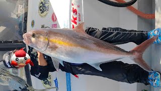 日本で１番西の離島で泳がせ釣りをしてみた　I tried swimming and fishing on the westernmost remote island in Japan