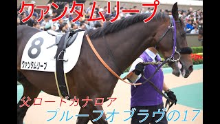 【クァンタムリープ（プルーフオブラヴの17）】デビュー戦は好メンバー揃い先行するも9着！サトノフウジンがド派手な差し切り勝ちで場内を沸かす！