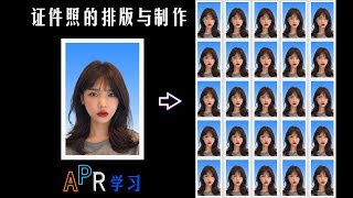 「证件照的制作和排版」  【APR学习】Photoshop入门基础（教程）课程