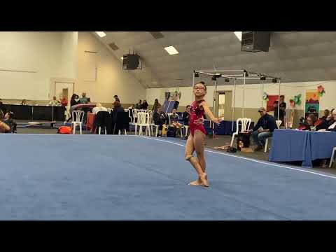 What skills do Level 5 gymnasts need?