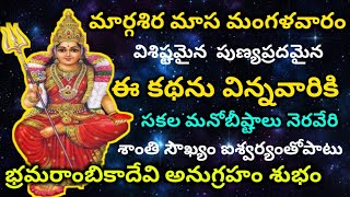 మార్గశిర మంగళవారం గాయత్రీదేవి మహిమ, భ్రమరాంబికదేవి ఆవిర్భావం కథ వింటే సకల మనోబిస్టాలు నెరవేరుతాయి