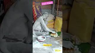 🥸கரூர் சுப்பிரமணிய சித்தர் சாப்பிடும் அற்புத காட்சி#shorts #viral #karur#karursiddhar