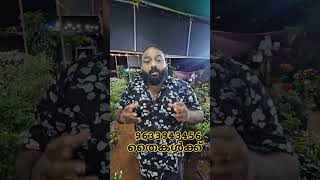 മുല്ല തൈകൾലാഭം അല്ലെ?? #shortsvideo #shortvideo #shorts #trend #short #shortsfeed #shortsviral #tips