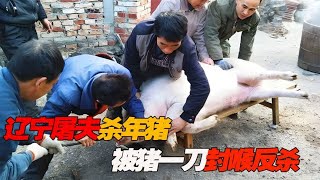 猪圈中的“战斗猪”，不仅没被屠夫杀死，反而成功反杀拿下一血！