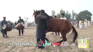 Amazing Horse  Dance 2021  || Good Horse  Dance Mela Baba Karmala 272 GB Jaranwala ||