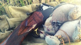 ÜVEYİK AVI DUBLE ATIŞ | Üveyik Avı 2. Bölüm | Akus Hunter Üveyik Avı | Dove Hunting 2021-2022 Season