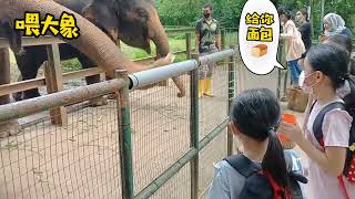 🥰玄平弘三姐妹的马六甲动物园Zoo Melaka之旅😘❣️