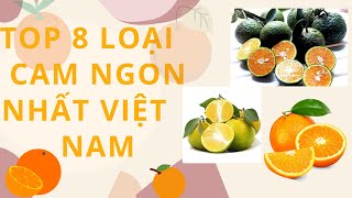 Top 8 quả cam ngon nhất Việt Nam - quả cam |Cây Xanh Ngọc Trang|