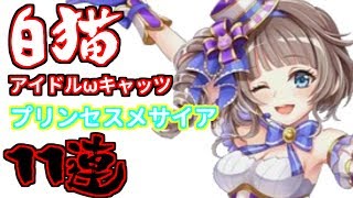 【白猫】プリンセスメサイアガチャ11連じゃああああ【白猫プロジェクト】