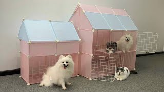DIY Pomeranian Puppies and Cute Kitten House | Mr Pet Family