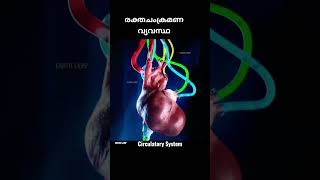 HEART❤️രക്തചംക്രമണ വ്യവസ്ഥ(Circulatory System)CHECK COMNT BOX👉 #anatomifisiologi #cardio #cardiology