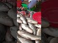 odisha fish market bhubaneswar