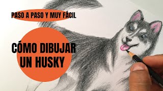 Te digo Cómo Dibujar Un Perro husky realista Paso a Paso ¡Muy fácil!