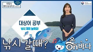 [바다낚시지수] 2020년 3월 31일 전반적인 낚시지수 보통 / 해양방송 On바다