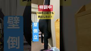 体重100キロ超でも「倒立ができる男」になりたい②#shorts #挑戦