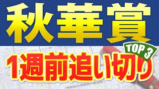 【秋華賞2023】1週前追い切りが高評価だった3頭をピックアップ🐴 ～JRA競馬予想～