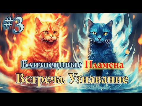 Близнецовые пламена #3. Встреча. Узнавание. Ошибки.