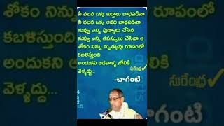 #చాగంటి కోటేశ్వరరావు గారి మాటలు#ఆడవాళ్ళ జోలికి వెళ్లొద్దు#ytshort#shortviral#vlogs#lakshmiaryavatam