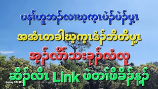 ပိာ်ခွါဃ့က့ၤအထ့ၣ်ပှ့ၤလၢပိာ်မုၣ်/ပိာ်မုၣ်တခီစံးနခံတချ့ဘၣ် ၃၀၀ ဘၣ်လံ4/1/2025