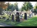 43.g2 mannheim city mazewot of the jewish cemetery grabsteine auf dem jüdischen friedhof