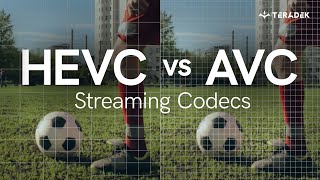 HEVC vs AVC: Which codec is right for you?