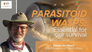 Parasitoid Wasps: Essential for our Survival | Simon van Noort