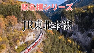 ⭐️34　🚋🚋JR東北本線【駅名標】